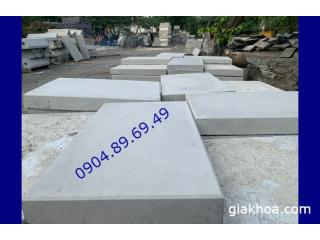 Tấm đan giả đá 30x50x5cm